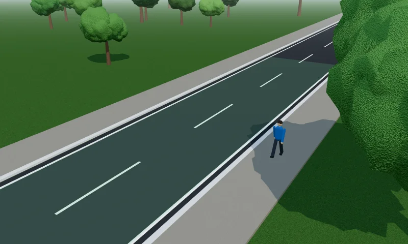 Fahrbahn